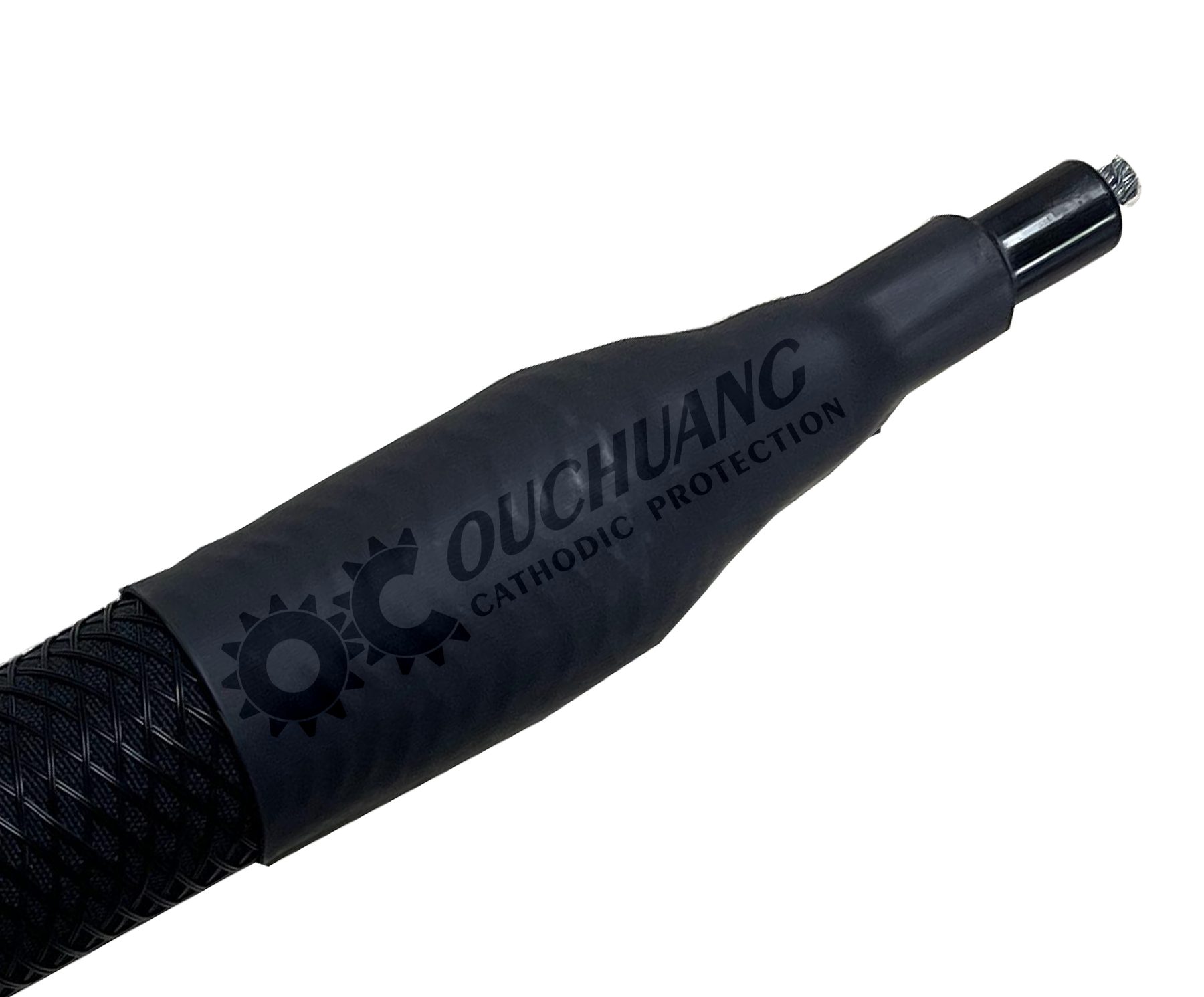 Conductive polymer flexible anodes